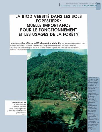 la biodiversité dans les sols forestiers - Bois et forêts des tropiques