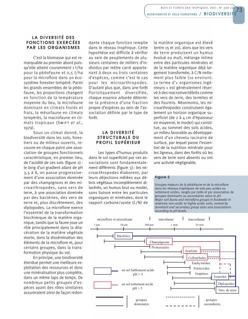 la biodiversité dans les sols forestiers - Bois et forêts des tropiques