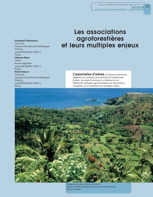 Les associations agroforestières et leurs multiples ... - ResearchGate