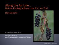 Along the Air Lineâ¦ - Performance Vision