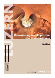 Publikation anschauen im PDF - uwe - Kanton Luzern