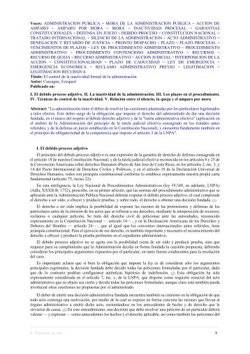 El control de la inactividad formal de la administraciÃ³n