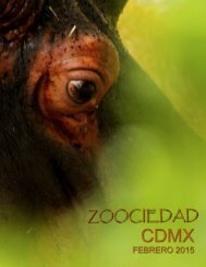 ZOOCIEDAD CDMX Boceto.pdf