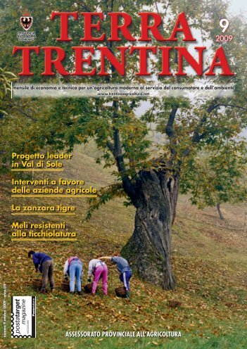 Terra Trentina - Ufficio Stampa - Provincia autonoma di Trento