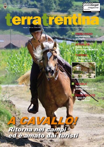 A CAVALLO! - Ufficio Stampa - Provincia autonoma di Trento