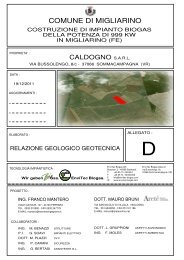 allegato d - relazione geologica