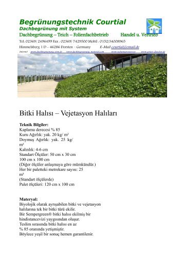 Bitki Halısı – Vejetasyon Halıları