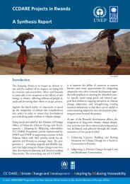 CCdare Projects in rwanda a Synthesis report ... - NBDF Rwanda