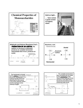 L3 - Chemical Properties of Monosaccharide