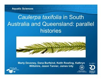 Caulerpa taxifolia in South Australia and Queensland ... - ICAIS