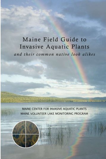 Maine Field Guide to Invasive Aquatic Plants - Brant Lake Milfoil ...