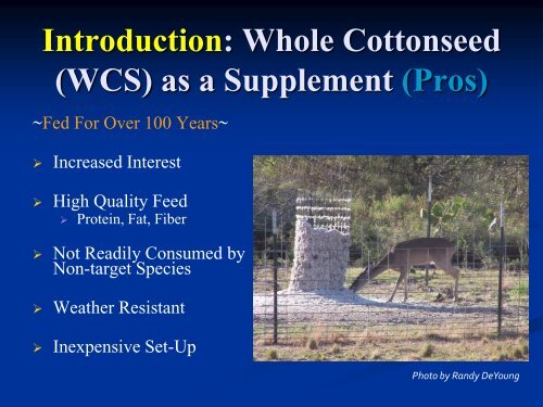 nutrition and physiology of white-tailed deer consuming whole ...