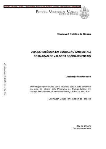 Roosevelt Fideles de Souza UMA EXPERIÃNCIA ... - NIMA - PUC-Rio