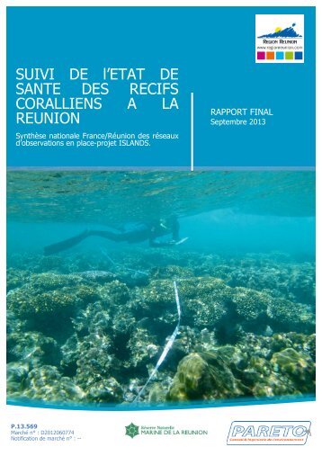 ISLANDS 2013 report-Reunion.pdf