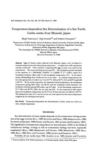 Temperature-dependent Sex Determination of a Sea Turde, Caretta ...