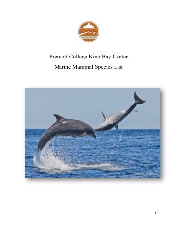 Prescott College Kino Bay Center Marine Mammal Species List