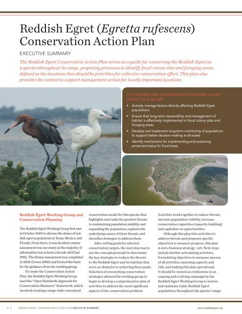 Reddish Egret (Egretta rufescens) Conservation Action Plan