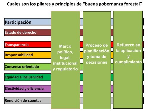 Conceptualización de Gobernanza Forestal - CEDAF