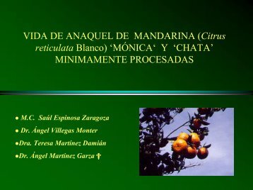 VIDA DE ANAQUEL DE MANDARINA (Citrus reticulata ... - CEDAF