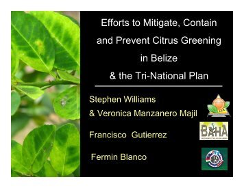 Efforts to Mitigate, Contain and Prevent Citrus Greening in ... - CEDAF