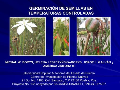 germinación de semillas en temperaturas controladas - CEDAF
