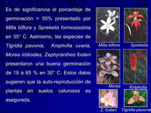 germinación de semillas en temperaturas controladas - CEDAF