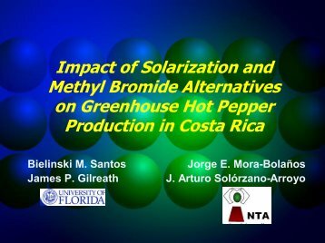 Impact of Solarization and Methyl Bromide Alternatives on ... - CEDAF