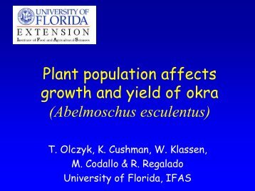 Plant population affects growth and yield of okra ... - CEDAF