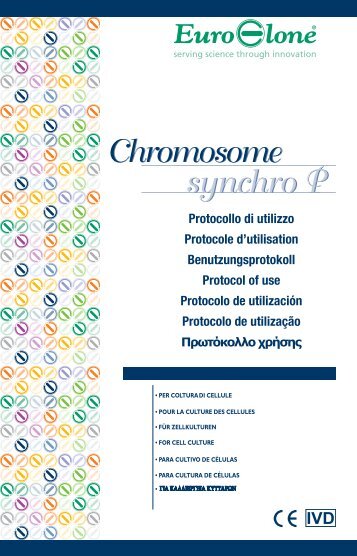 Chromosome synchro P - AmpliTech