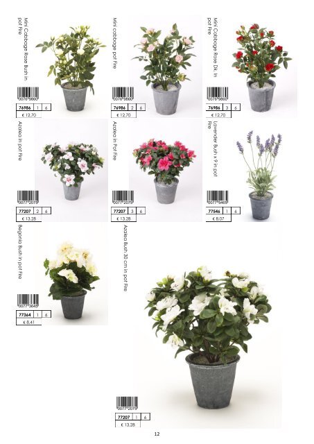 Plants & Pots 2015 old