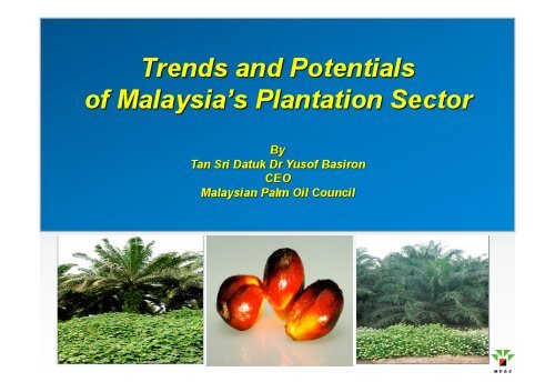 Trends & Potentials of Malaysia's Plantation Sector - MPOC