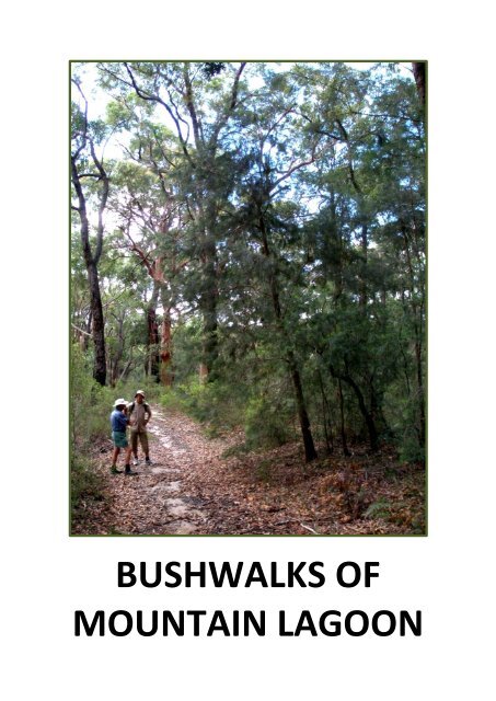 BUSHWALKS OF MOUNTAIN LAGOON - Blue Mountains Australia