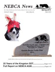 Spring 2013 - Northeast Border Collie Association