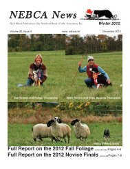 Winter 2012 - Northeast Border Collie Association