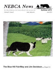 Summer 2013 - Northeast Border Collie Association