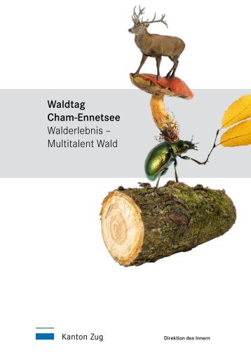 Flyer Waldtag Cham-Ennetsee vom 10.9.2011 (PDF)