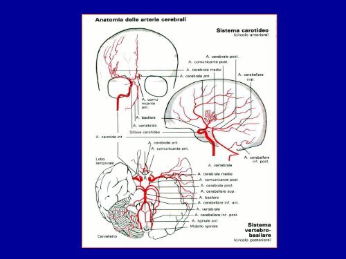 Stroke fisiopatologia - UniversitÃ  degli Studi di Perugia