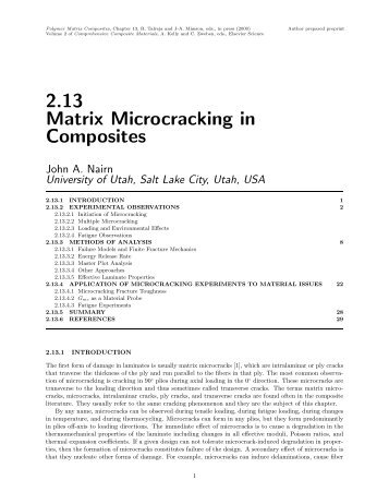 2.13 Matrix Microcracking in Composites