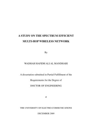 a study on the spectrum efficient multi-hop wireless network