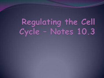 Regulating the Cell Cycle â Notes 10.3