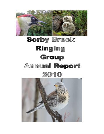 Download - Sorby Breck Ringing Group