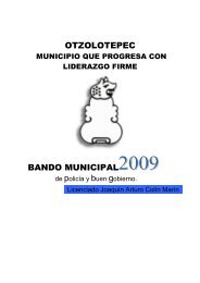 Bando Municipal de PolicÃ­a y Buen Gobierno 2009 - Orden JurÃ­dico ...