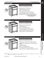 OPTIONS - Cabinet Authority