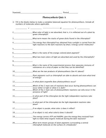 Photosynthesis Quiz