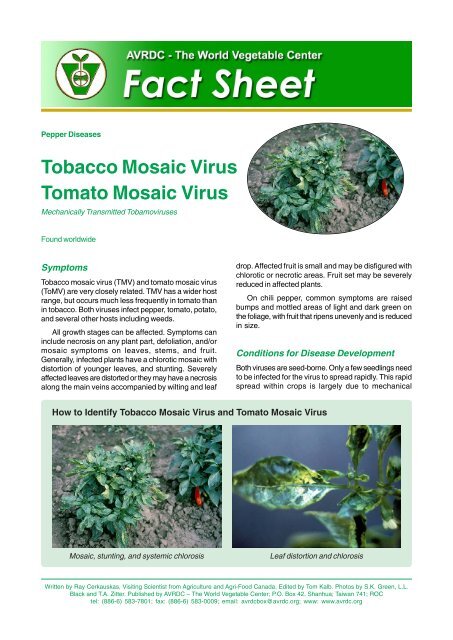 Tobacco Mosaic Virus and Tomato Mosaic Virus on Pepper