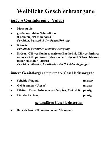 Funktionen der äußeren