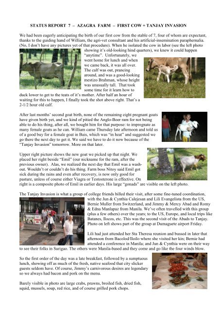 kin cow menu
