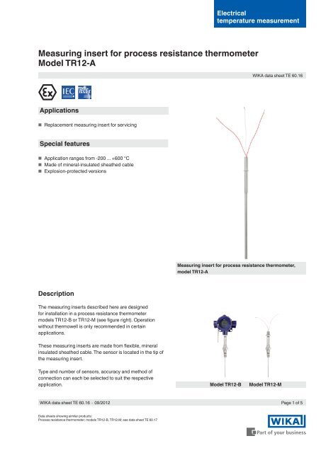 Measuring insert for process resistance thermometer ... - WIKA Polska