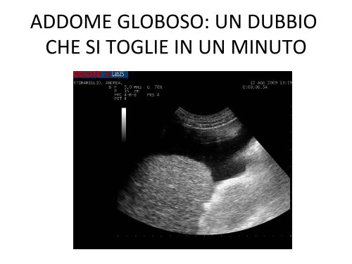 l' ecografia generalista ed altre proposte di innovazione ... - siemg