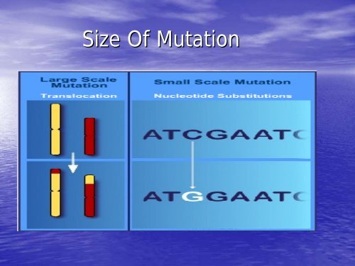 The Effect of Medical Advances on Insurance ... - Actuary.com